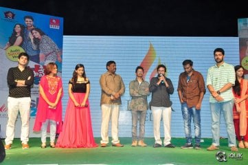 Padesave Movie Audio Success Meet in Vizag